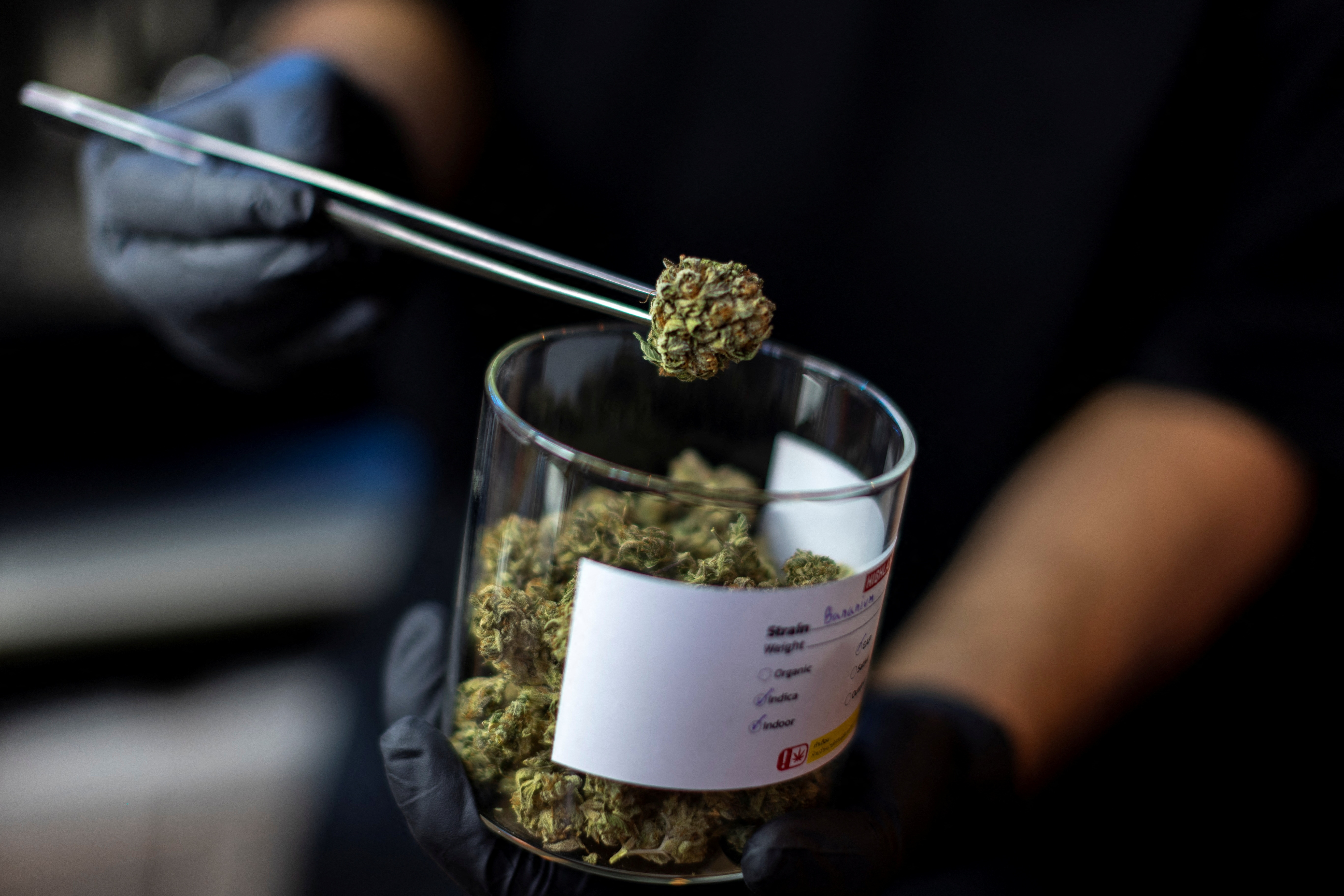 22 nha su bi cao buoc mang lau hon 100 kg can sa vao Sri Lanka hinh anh