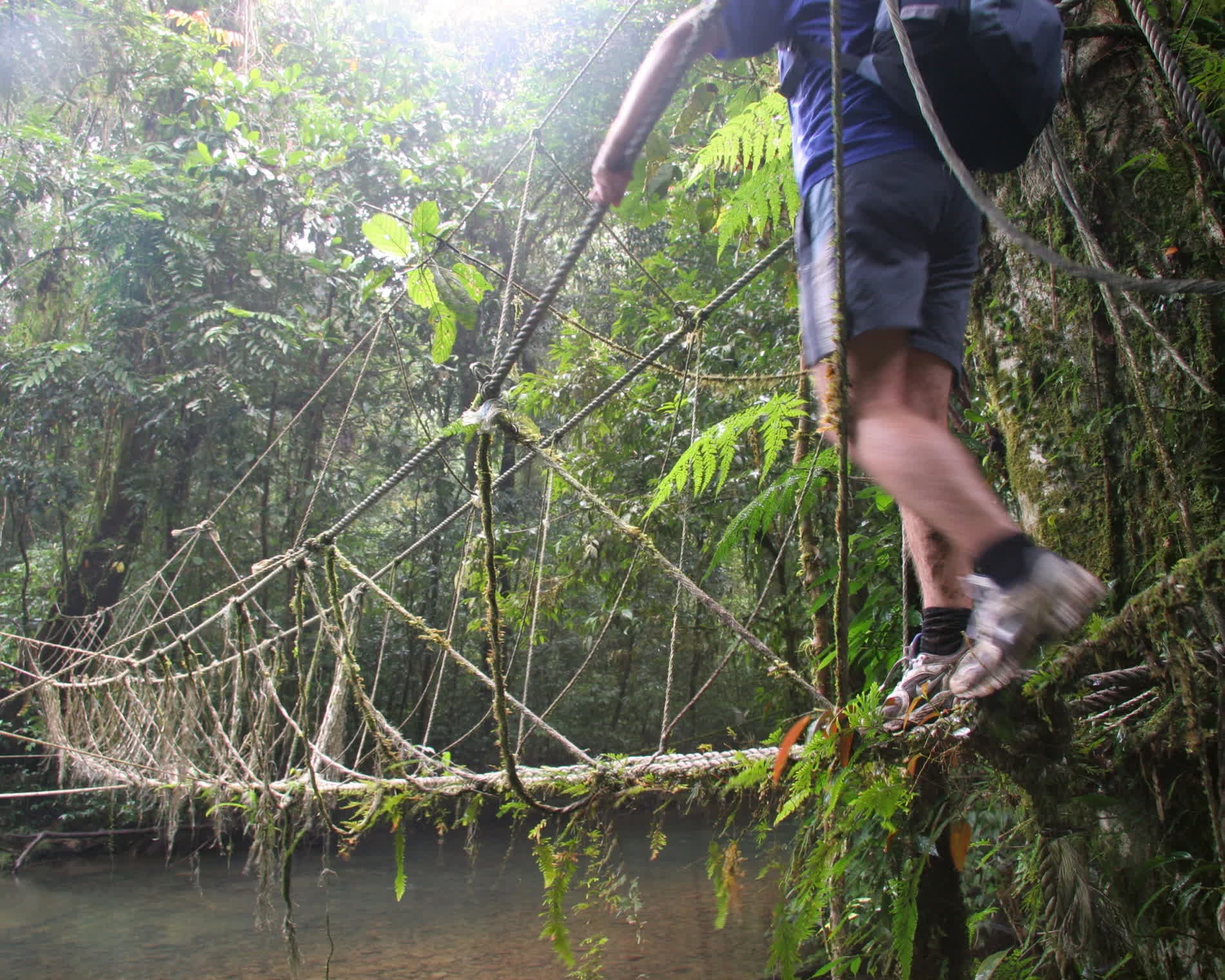 Số vụ tai nạn tăng cao, Malaysia siết hoạt động hiking