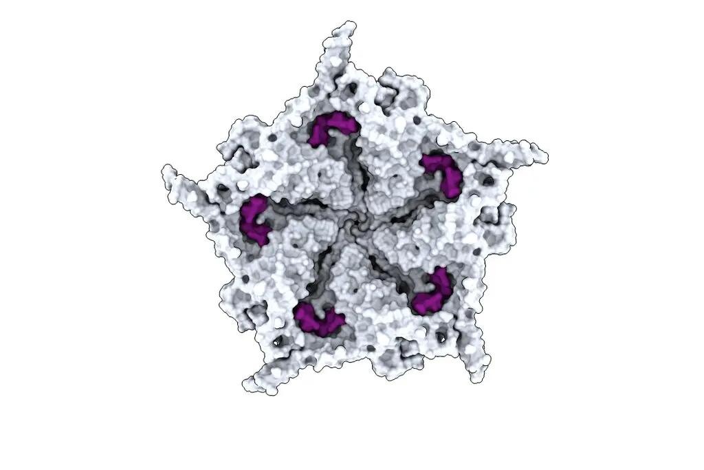 virus ảnh 2