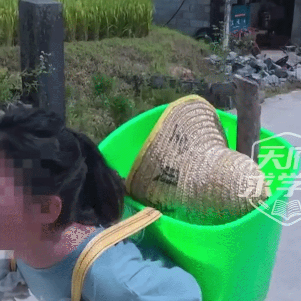 Phụ huynh Trung Quốc chi tiền để con ‘nếm mùi’ gian khổ