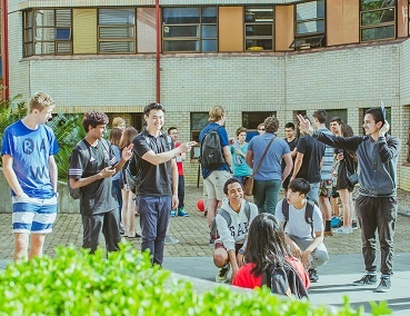 4 ly do chon hoc nhom nganh kinh doanh o New Zealand hinh anh