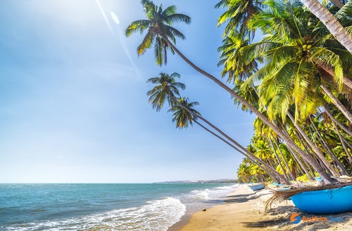 Novaland,  Second home ảnh 4 Novaland,  Second home anh 4