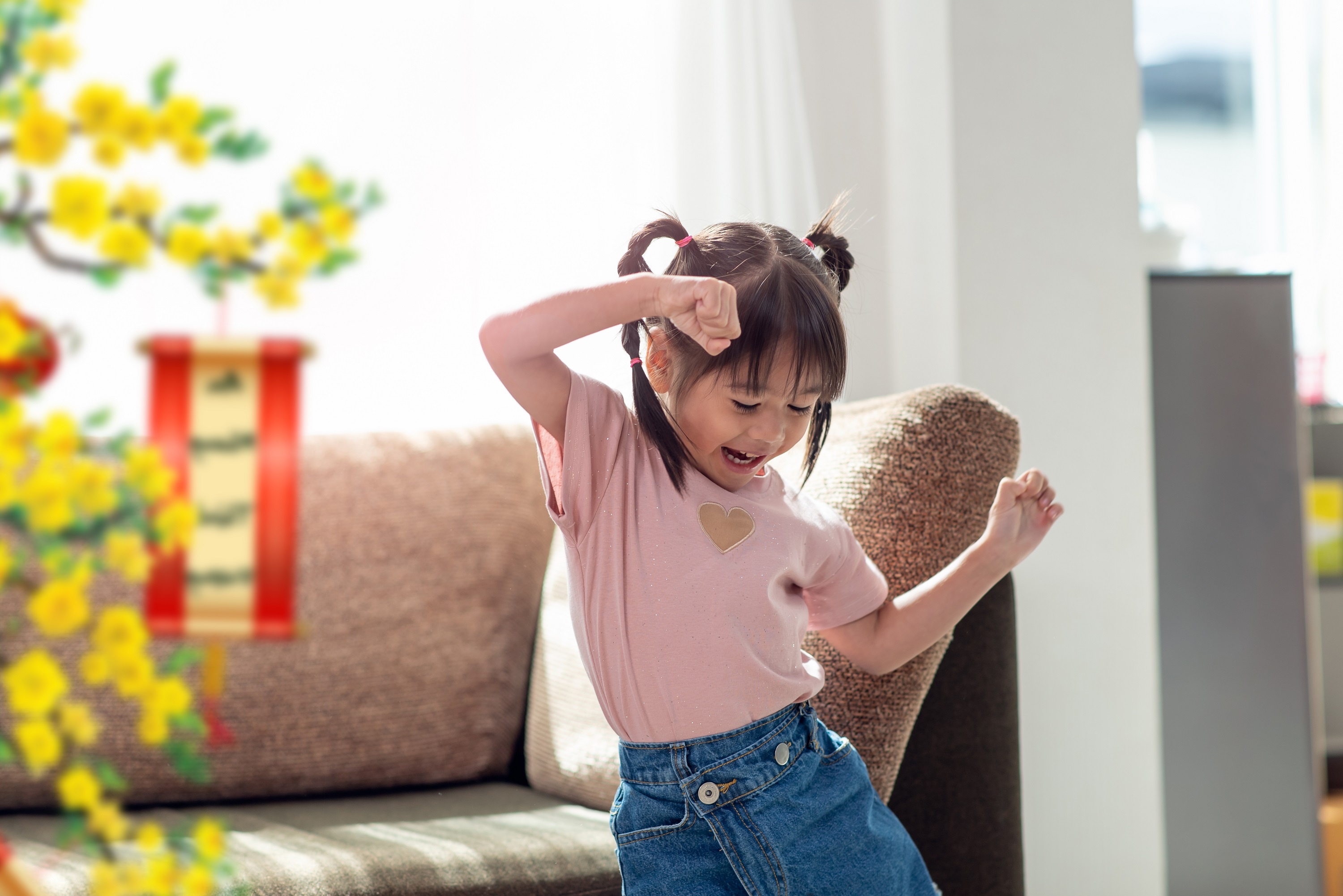 Co Gai Ha Lan,  Tet vui khoe anh 2