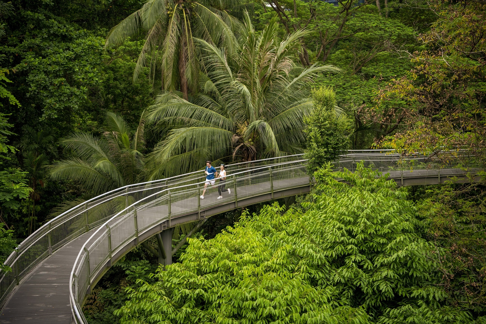 du lịch Singapore,  STB ảnh 4 du lich Singapore,  STB anh 4