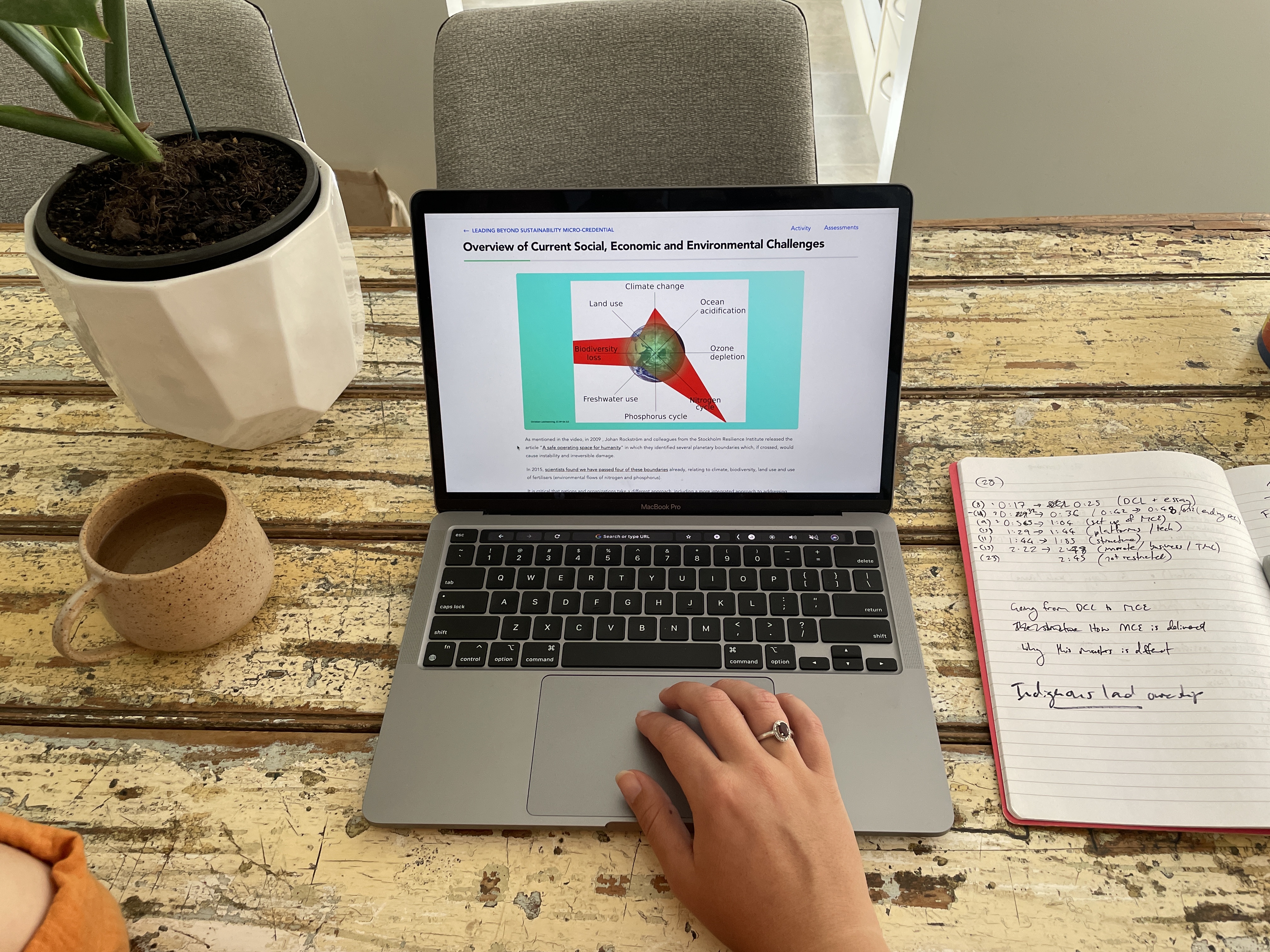 ENZ,  ung dung cong nghe so anh 3