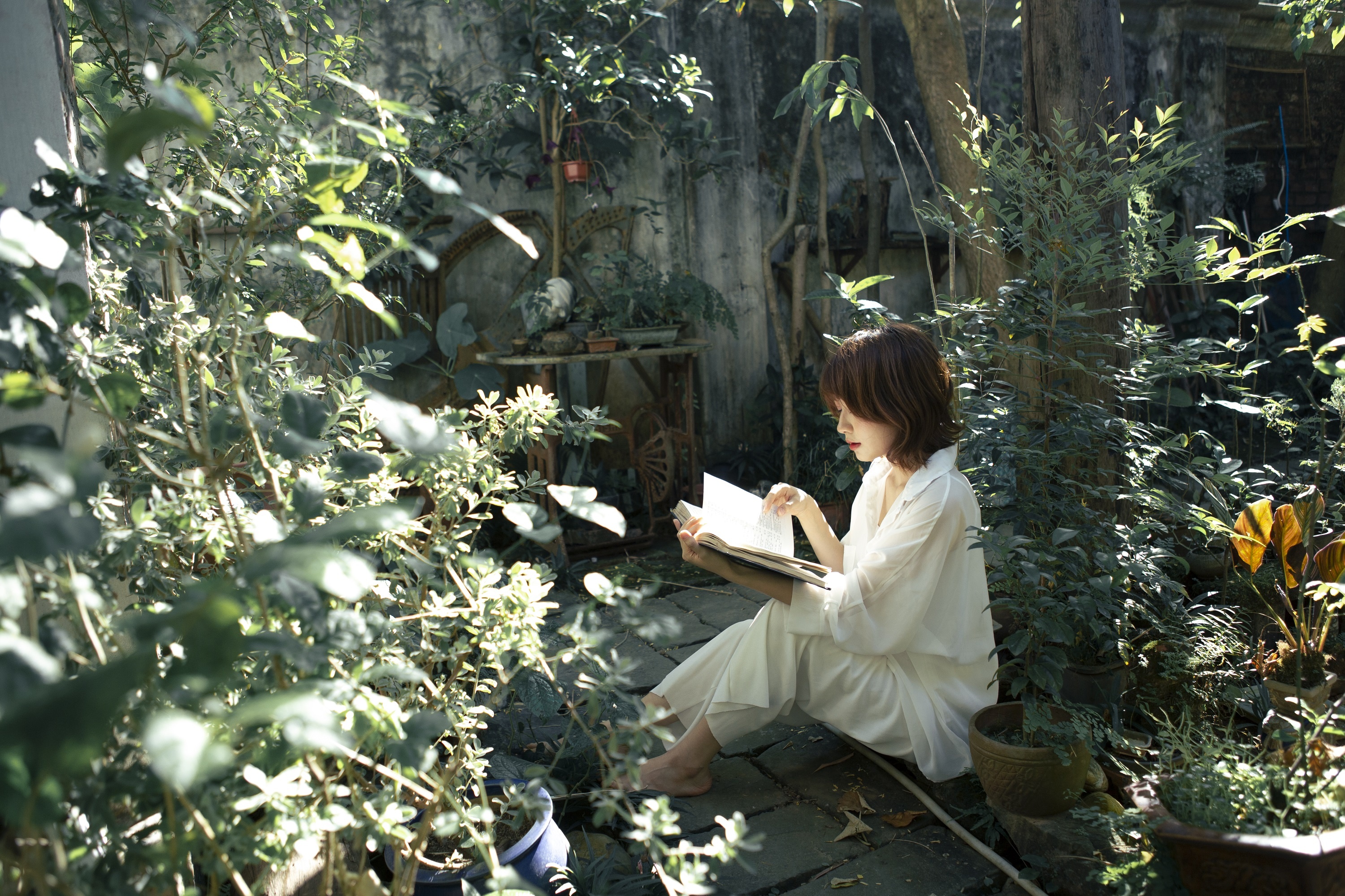 Lazada,  5 dau sach hay anh 1