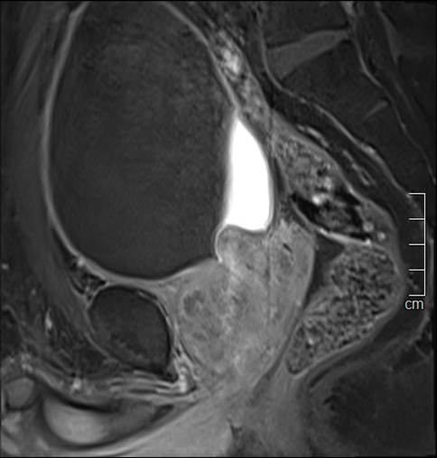 BVDK Tam Anh,  bi tieu anh 2
