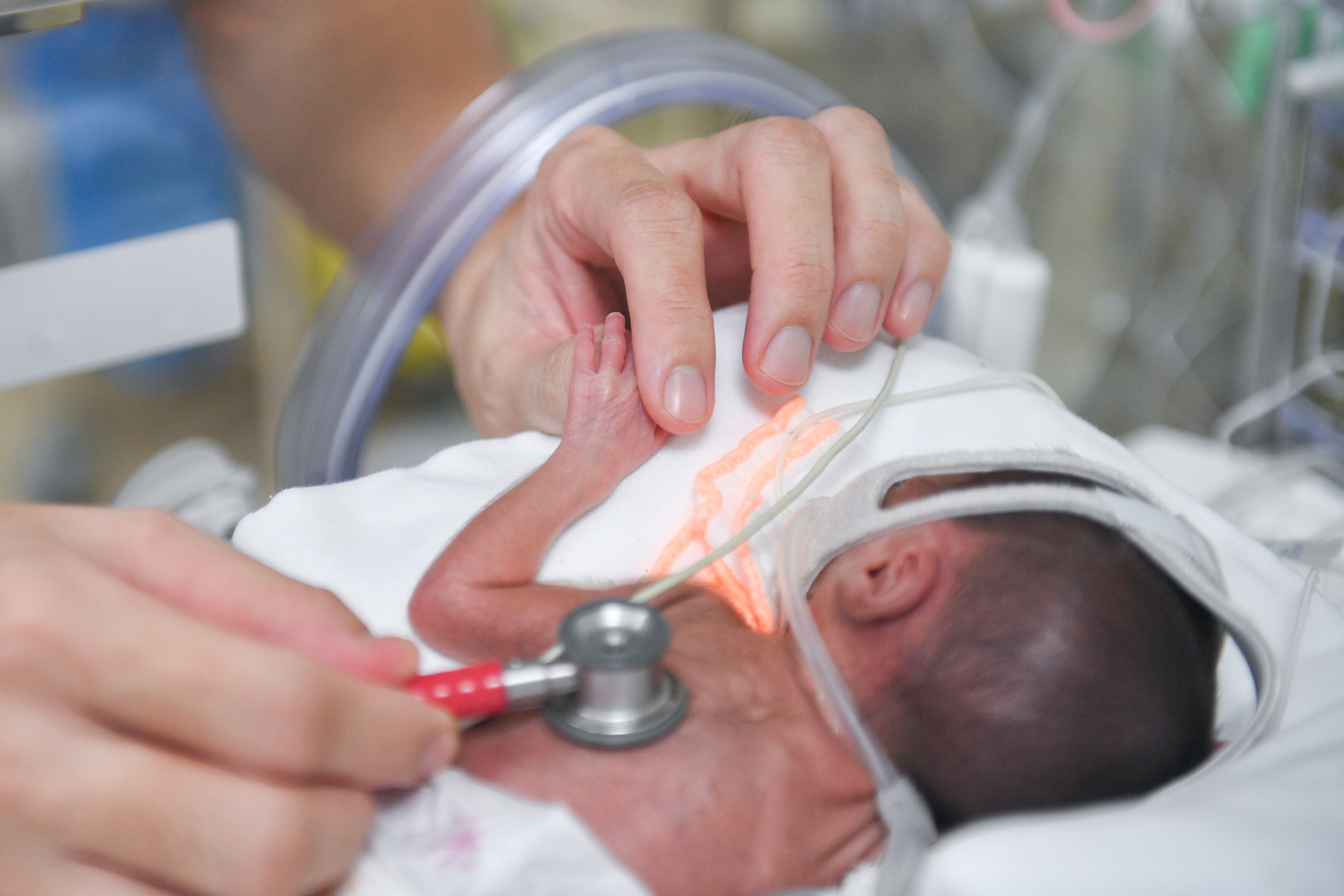 BVĐK Tâm Anh, Trung tâm Sơ sinh ảnh 6 BVDK Tam Anh, Trung tam So sinh anh 6