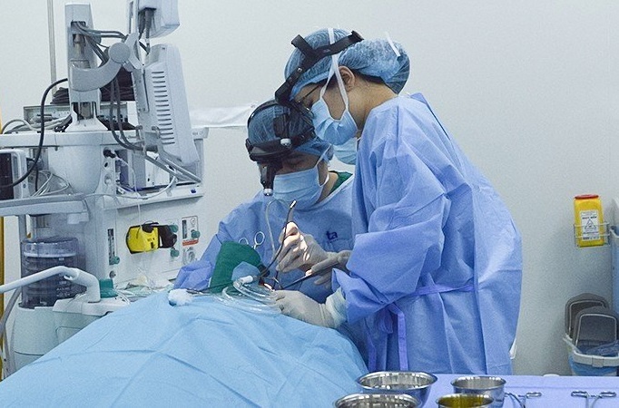 Ngu ngay suot 20 nam vi amidan sung to che duong tho hinh anh