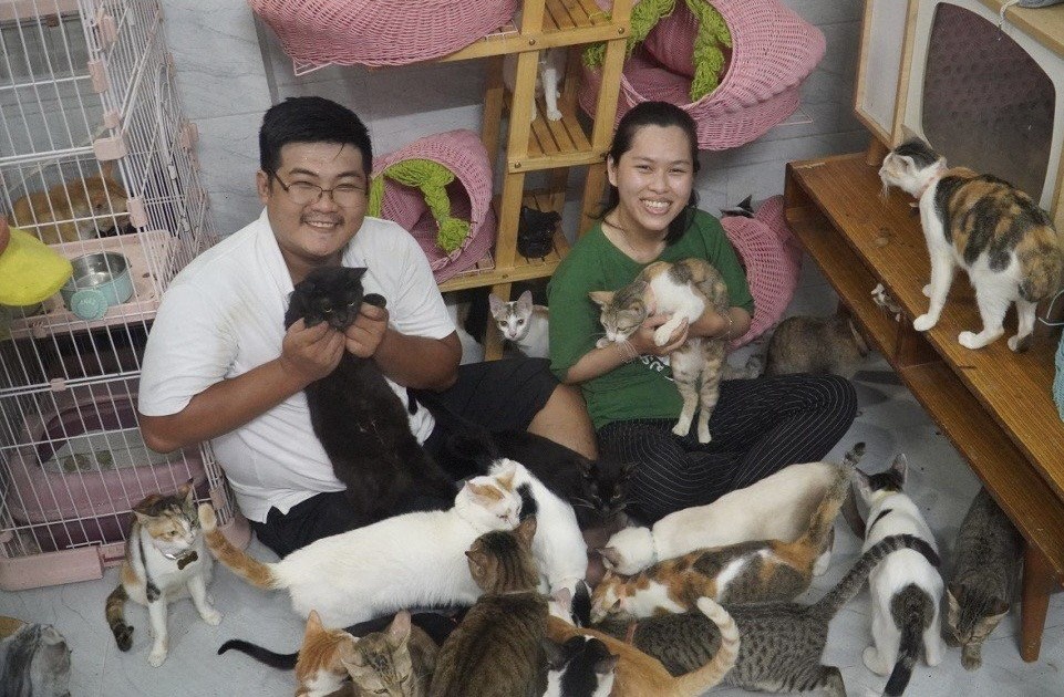 VNVC,  tiem du phong anh 2