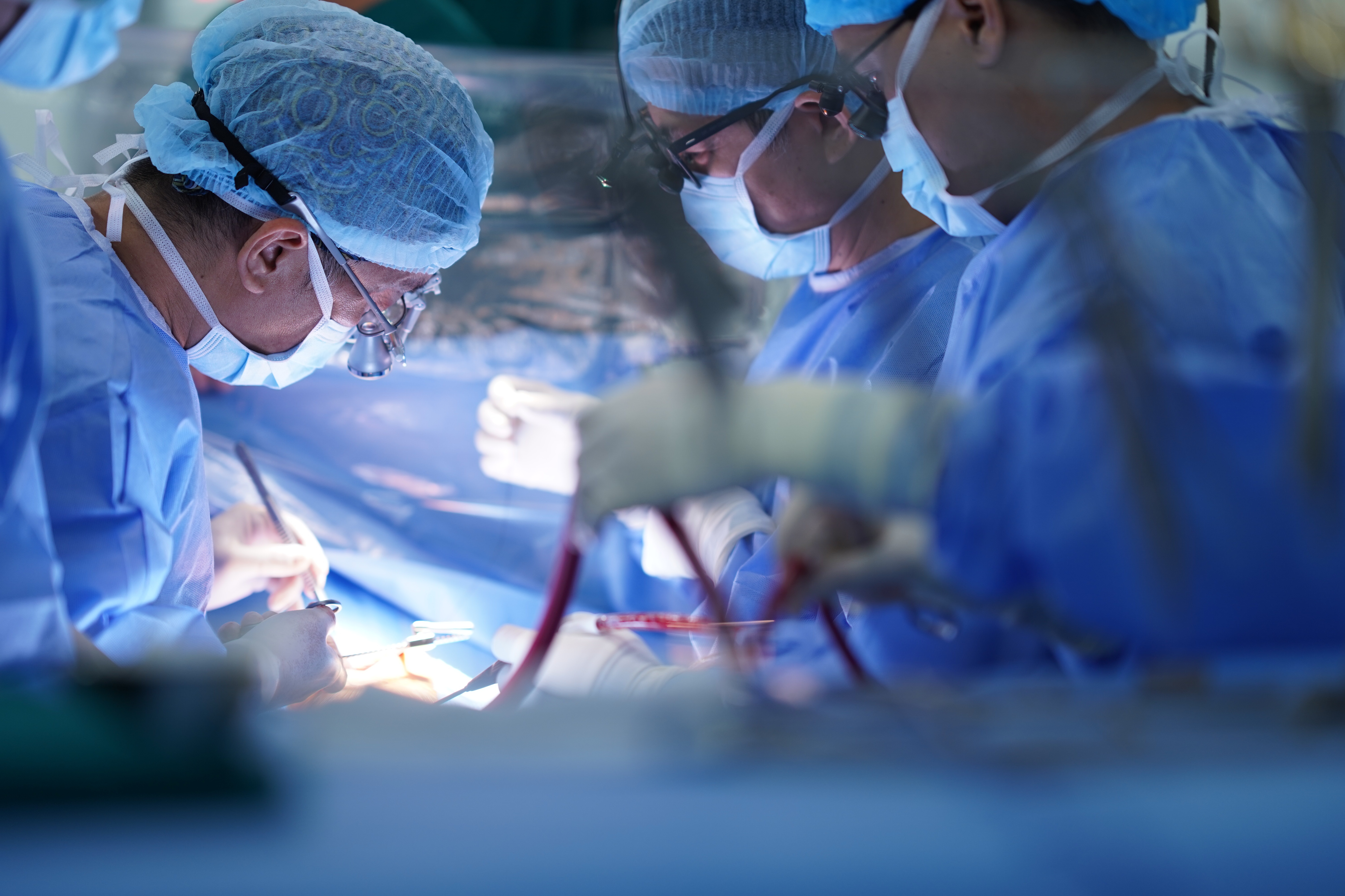 BVDK Tam Anh,  tim bam sinh anh 3