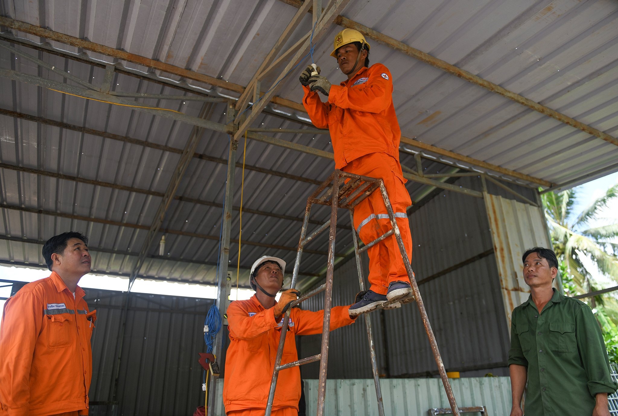 EVNSPC,  dien luc anh 5