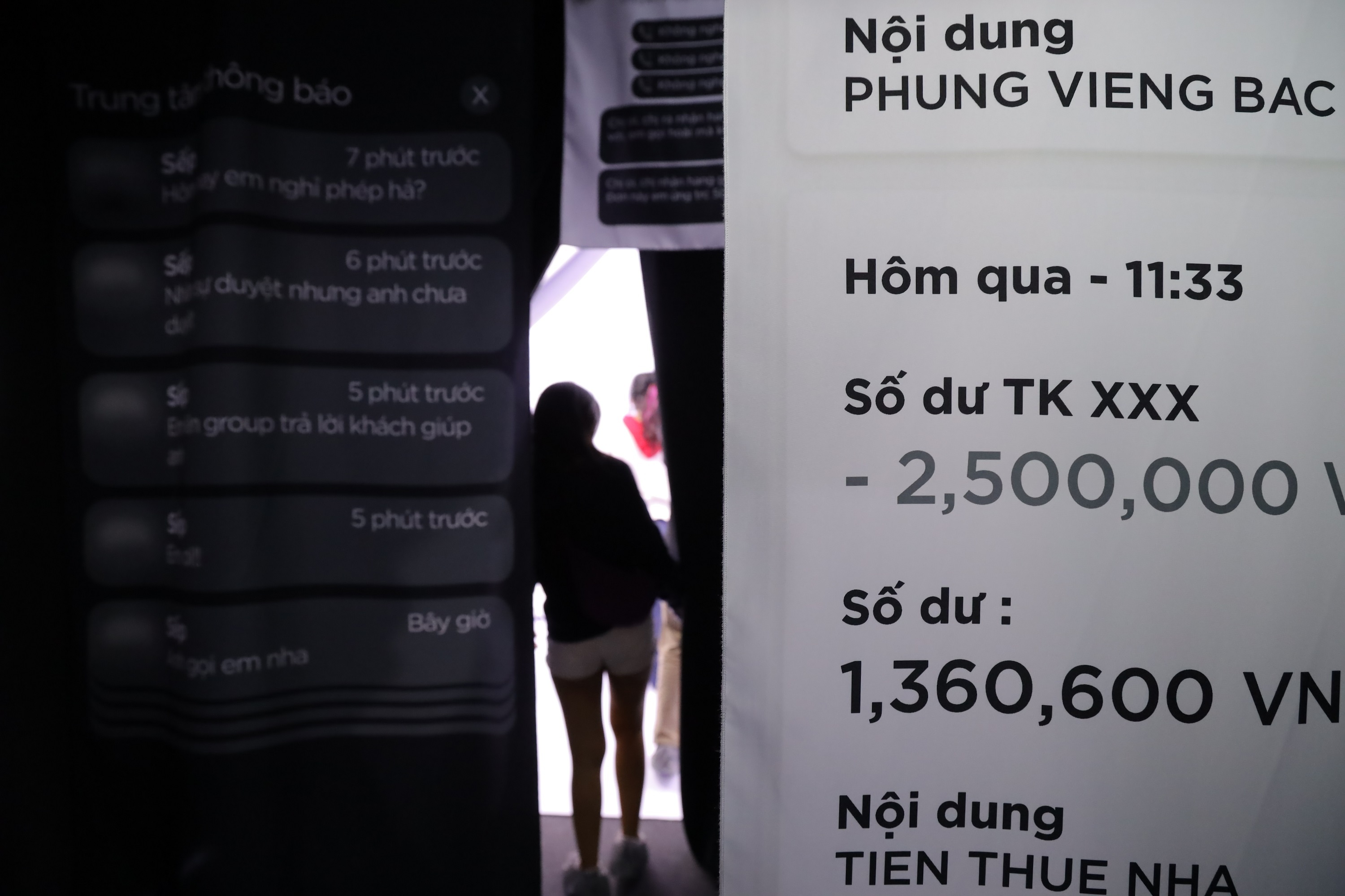 Tet Vo Ve,  trien lam Vo Ve anh 14