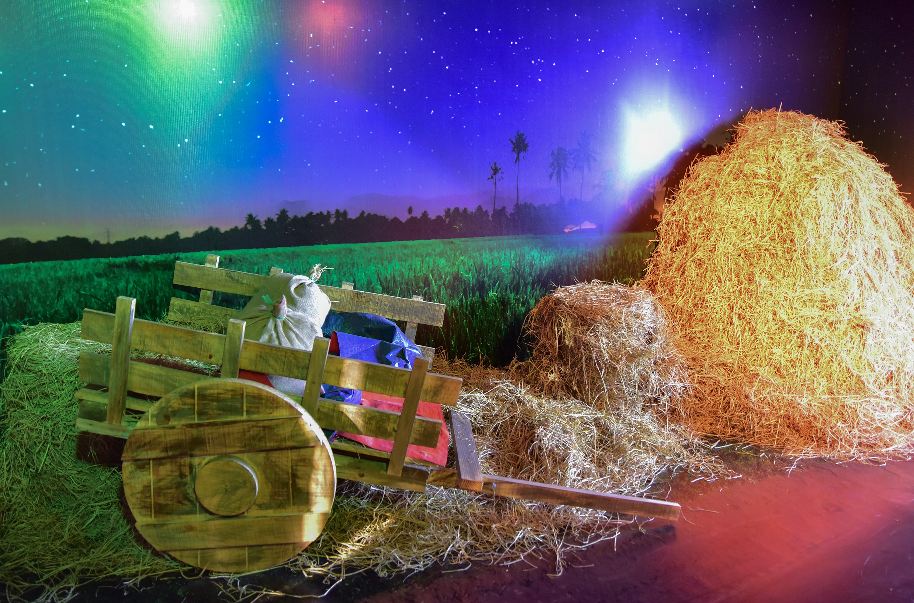 Tet Vo Ve,  trien lam Vo Ve anh 22