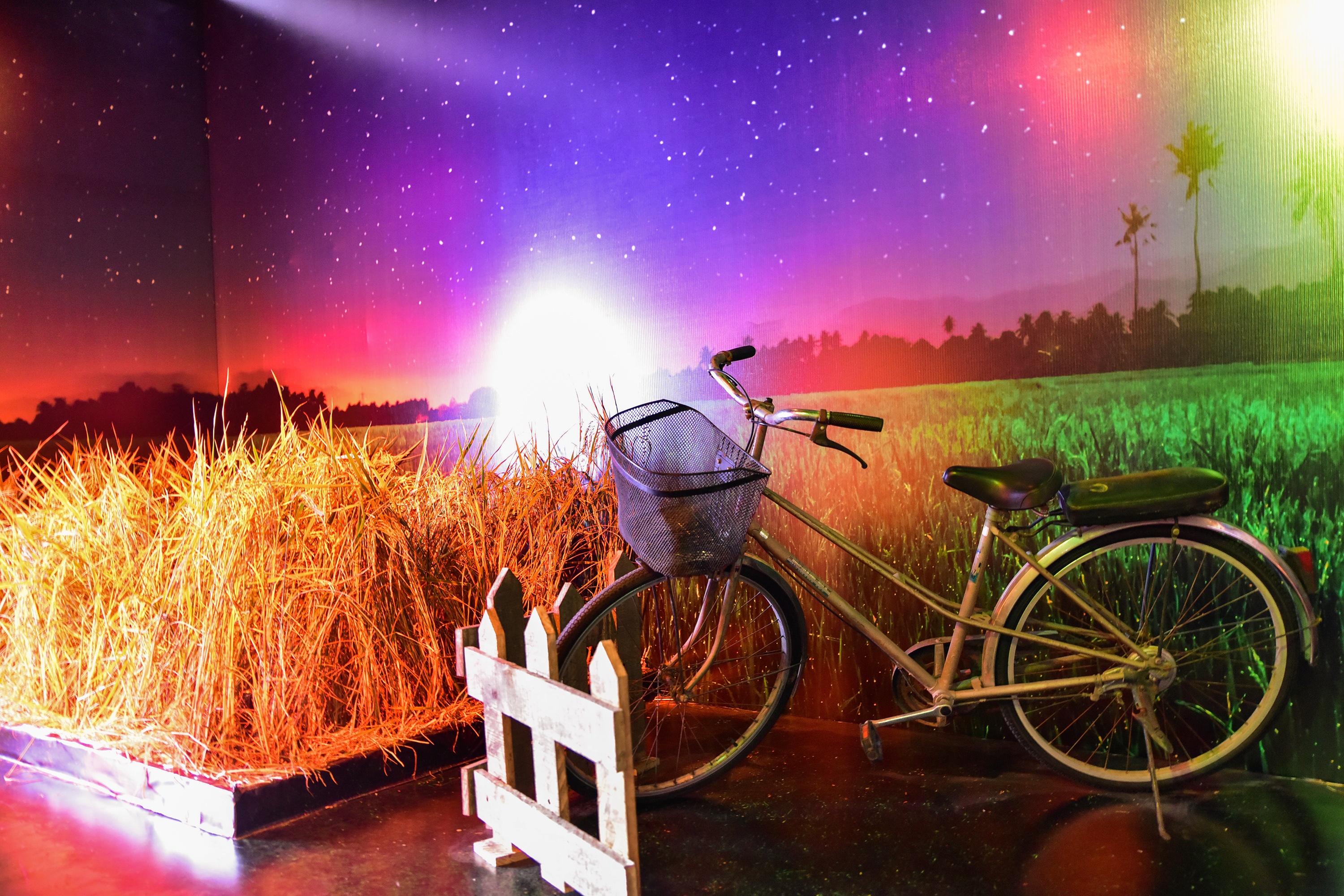 Tet Vo Ve,  trien lam Vo Ve anh 24