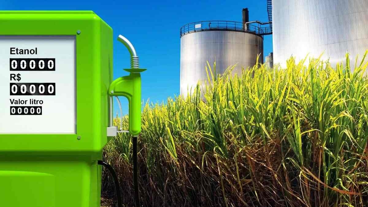 Xang sinh hoc,  ethanol anh 2