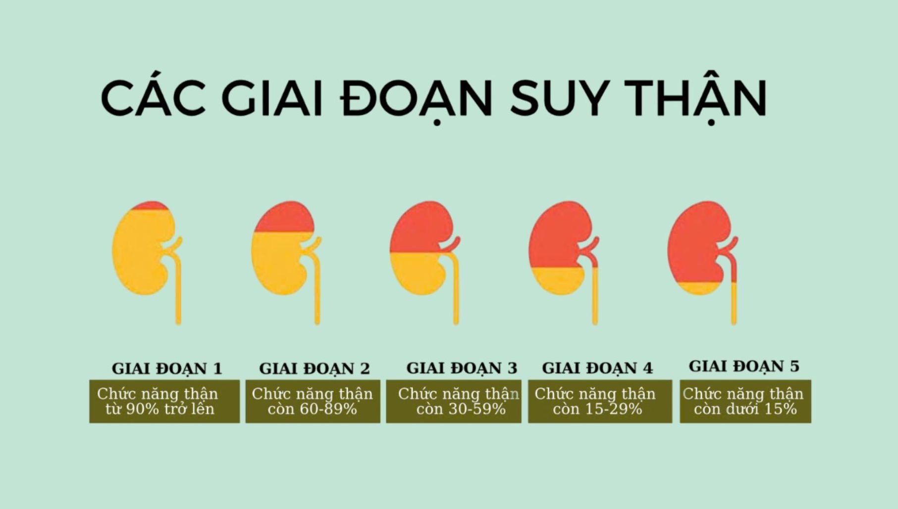 Benh vien FV,  khoa Noi - Than anh 2