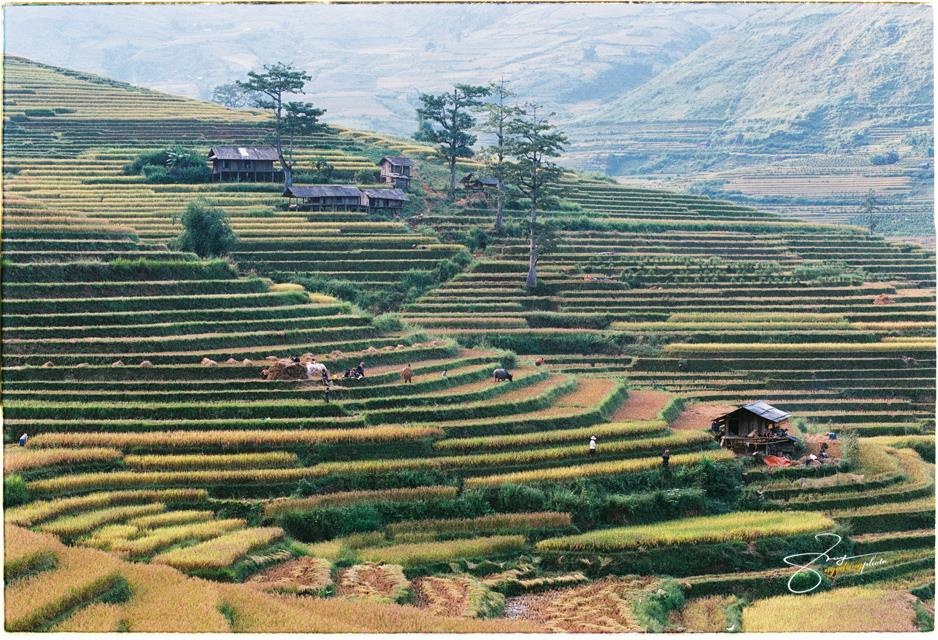 Du lich Tu Le Van Chan Yen Bai anh 10