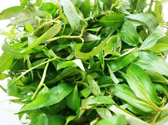 Công dụng chữa bệnh của rau thơm ảnh 1 Cong dung chua benh cua rau thom anh 1