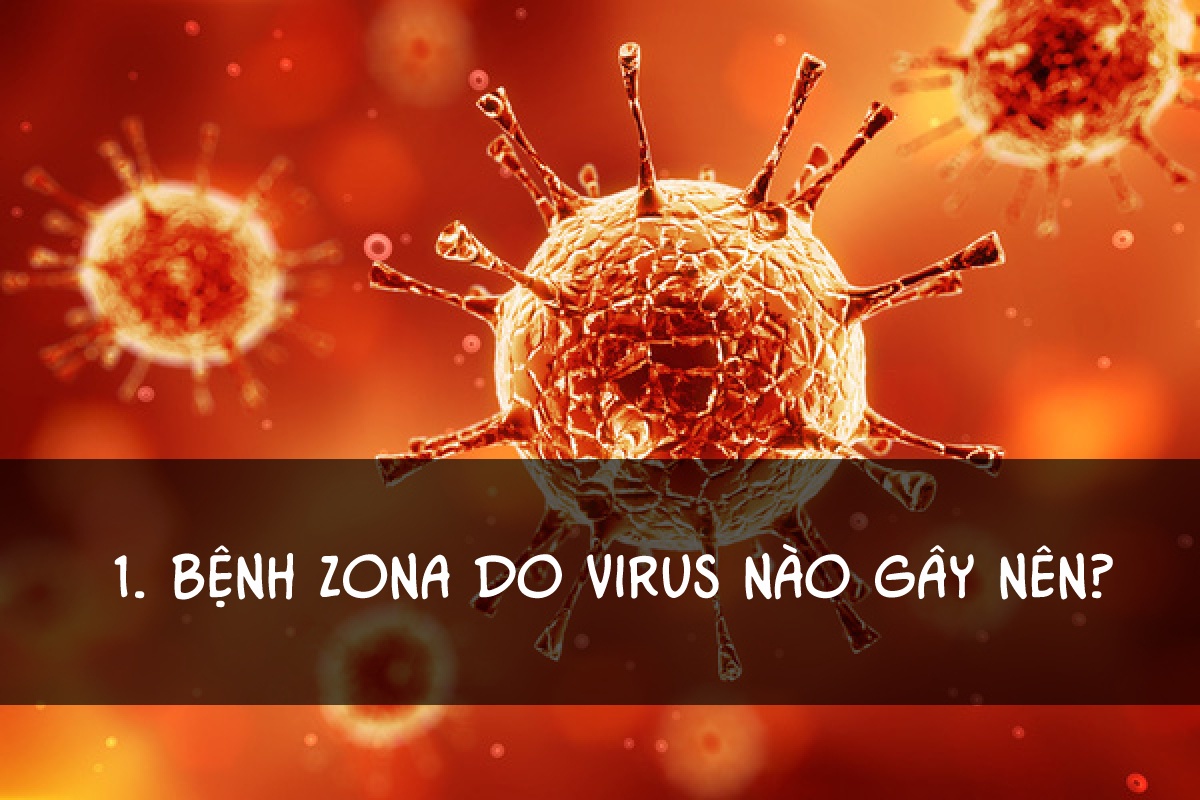 Cách điều trị bệnh zona ảnh 1 Cach dieu tri benh zona anh 1