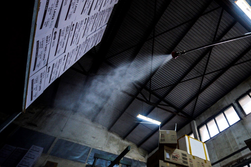 benh sot xuat huyet anh 11