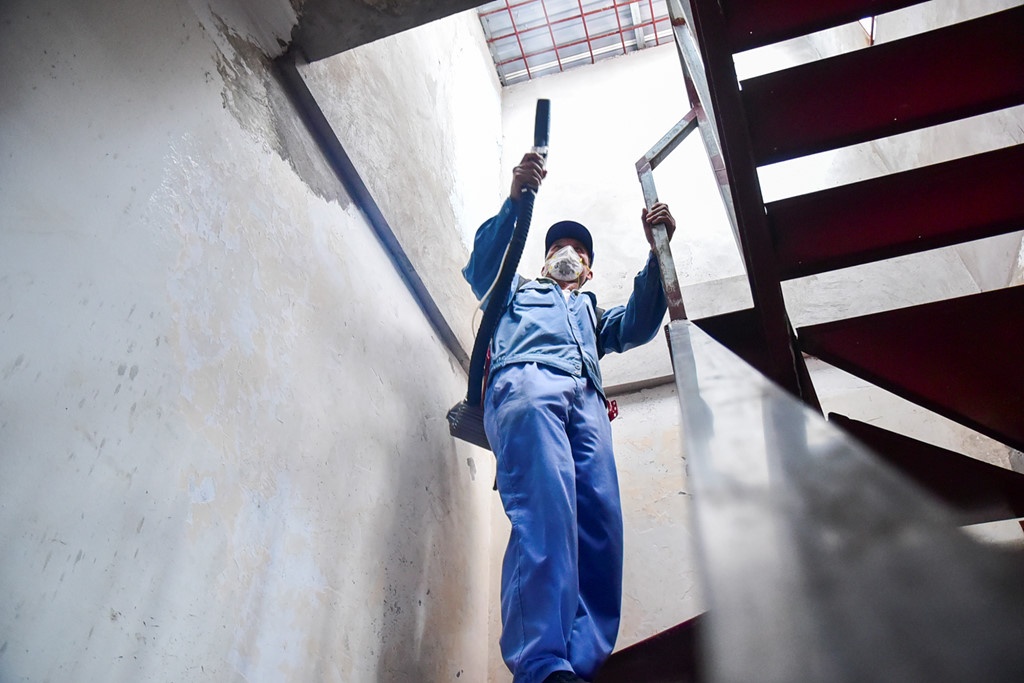 benh sot xuat huyet anh 12