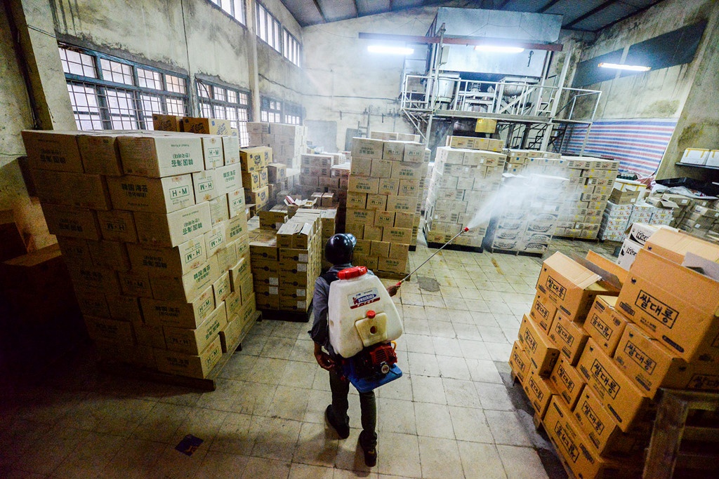 benh sot xuat huyet anh 9