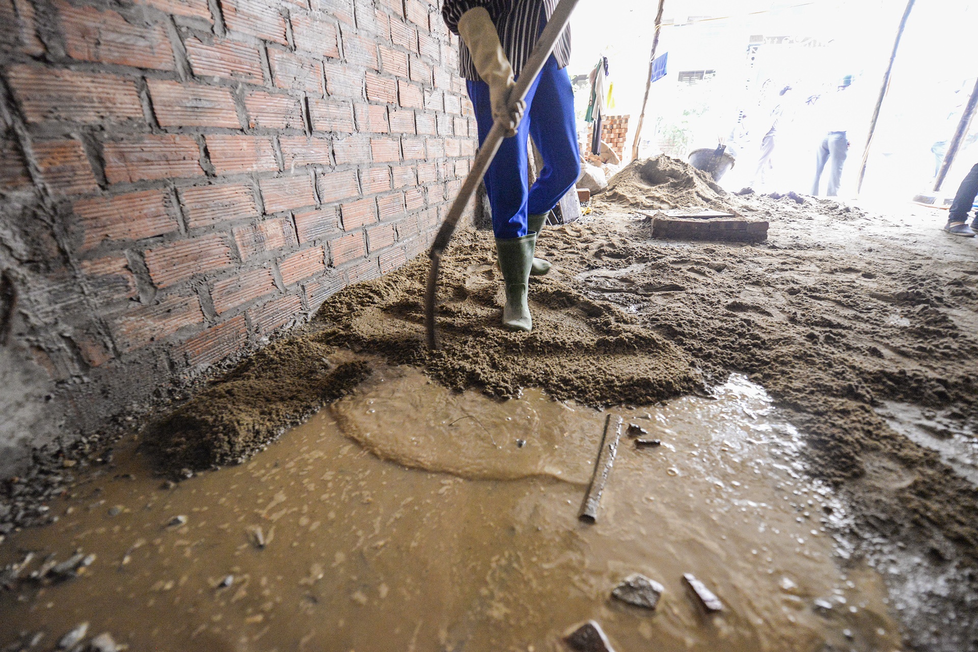 benh sot xuat huyet anh 2