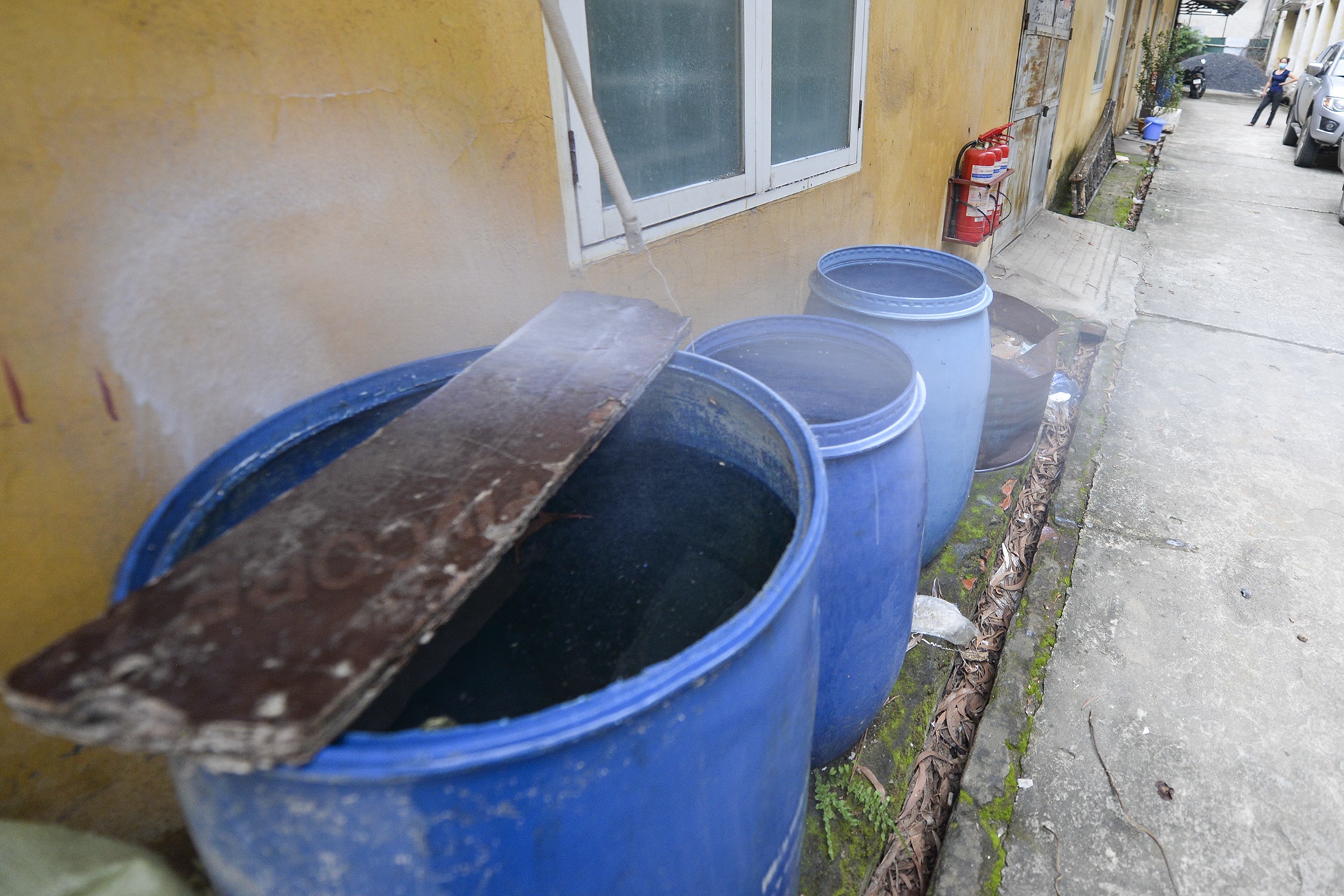 benh sot xuat huyet anh 4