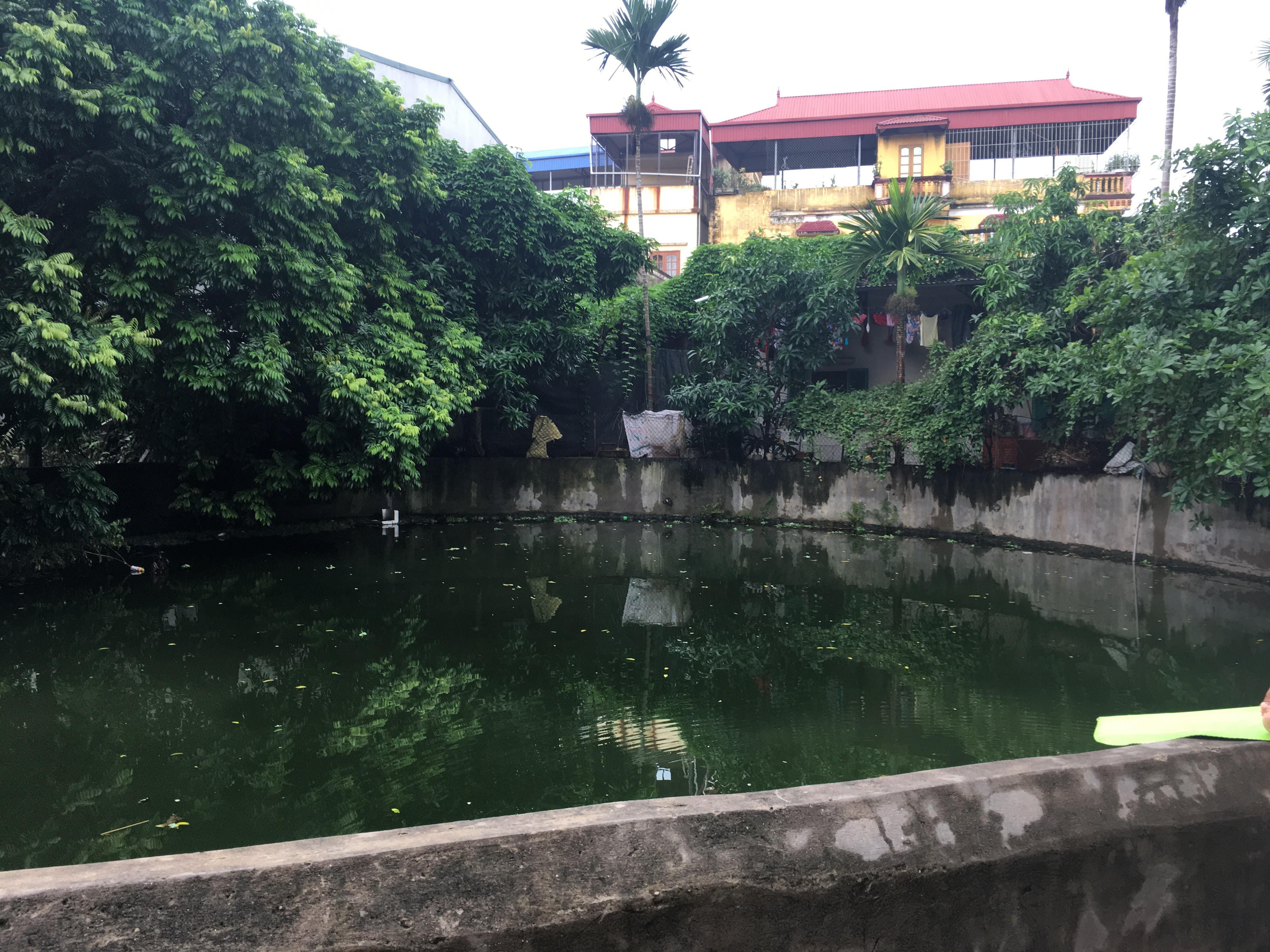 dịch sốt xuất huyết ảnh 3 dich sot xuat huyet anh 3