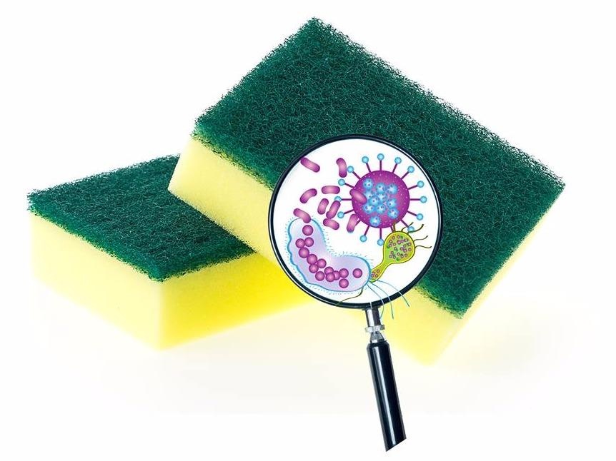 Hay canh giac voi o vi khuan trong mieng bot bien rua bat hinh anh