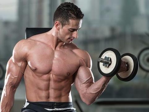 Dieu gi xay ra voi co bap sau khi tap luyen? hinh anh