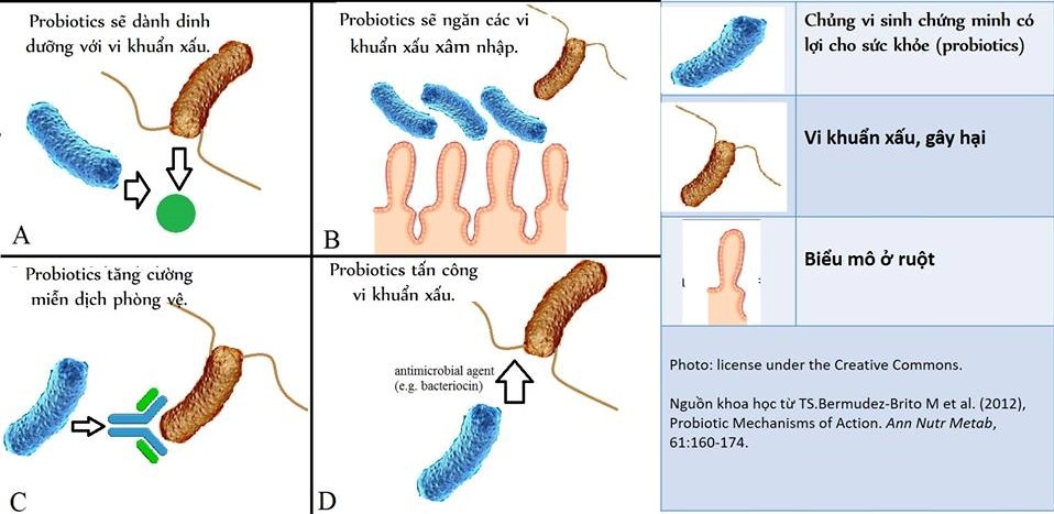 Cách chọn sữa chua cho bé ảnh 2 Cach chon sua chua cho be anh 2