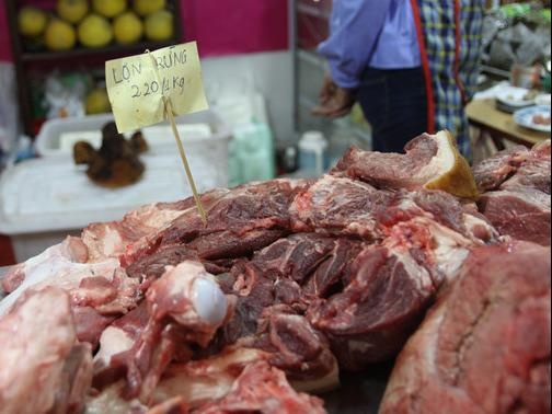 Chua du co so nhan dinh toan bo thit o 5 tinh phia Nam nhiem E.coli hinh anh