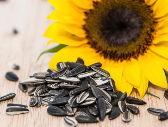 Nhung mon an vat khong lo tang can ngay Tet hinh anh