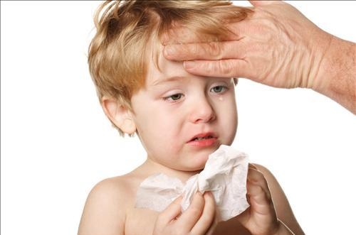 Tăng cường miễn dịch cho trẻ ảnh 1 Tang cuong mien dich cho tre anh 1