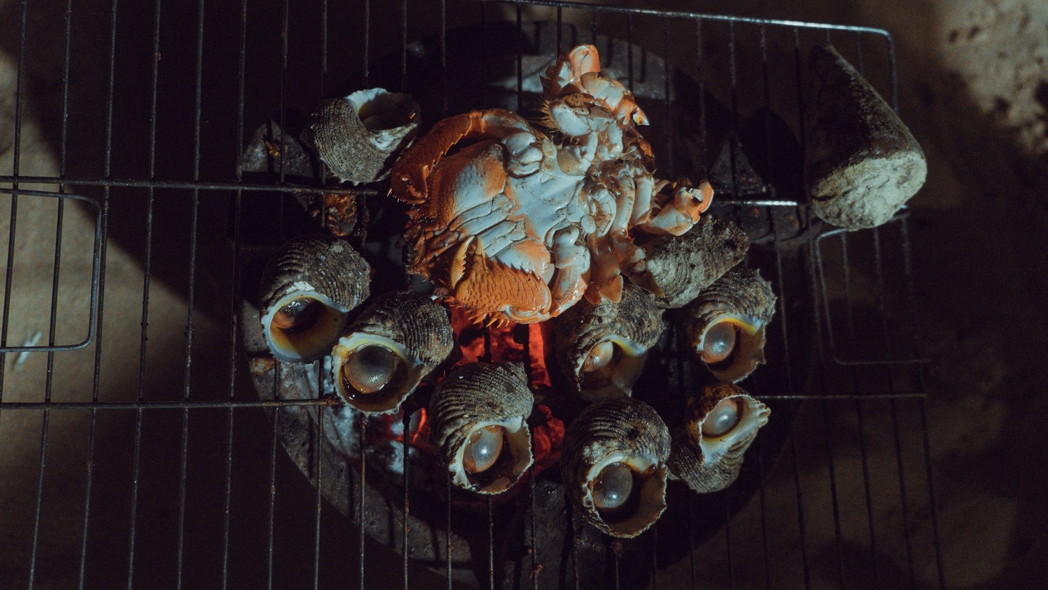 Kinh nghiệm du lịch Mũi Đinh ảnh 7 Kinh nghiem du lich Mui Dinh anh 7