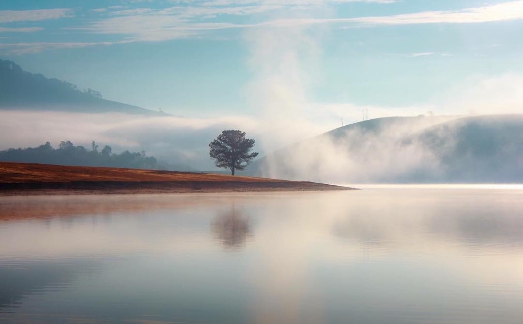 Chon danh cho nguoi muon den Da Lat dip le nhung ngai dong duc hinh anh