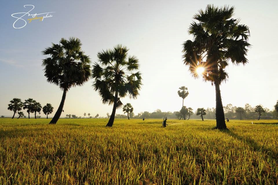 Địa điểm du lịch một mình dịp lễ ảnh 5 Dia diem du lich mot minh dip le anh 5