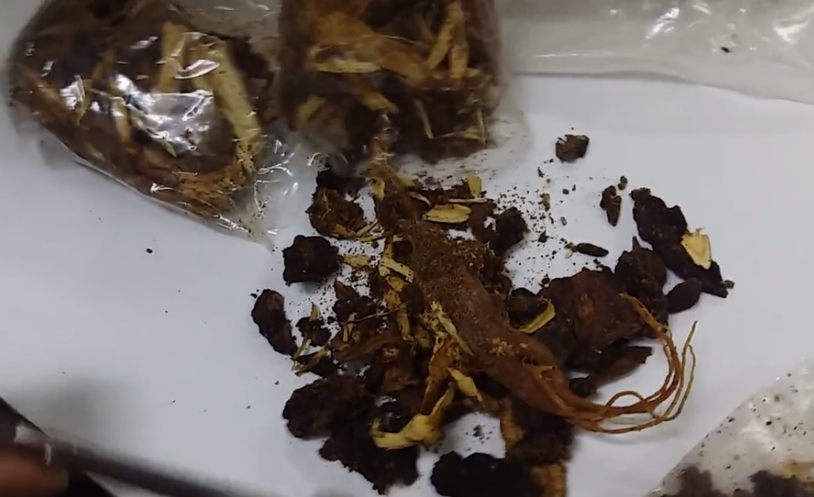 Bo lom ngom trong goi Thao duoc anh 2