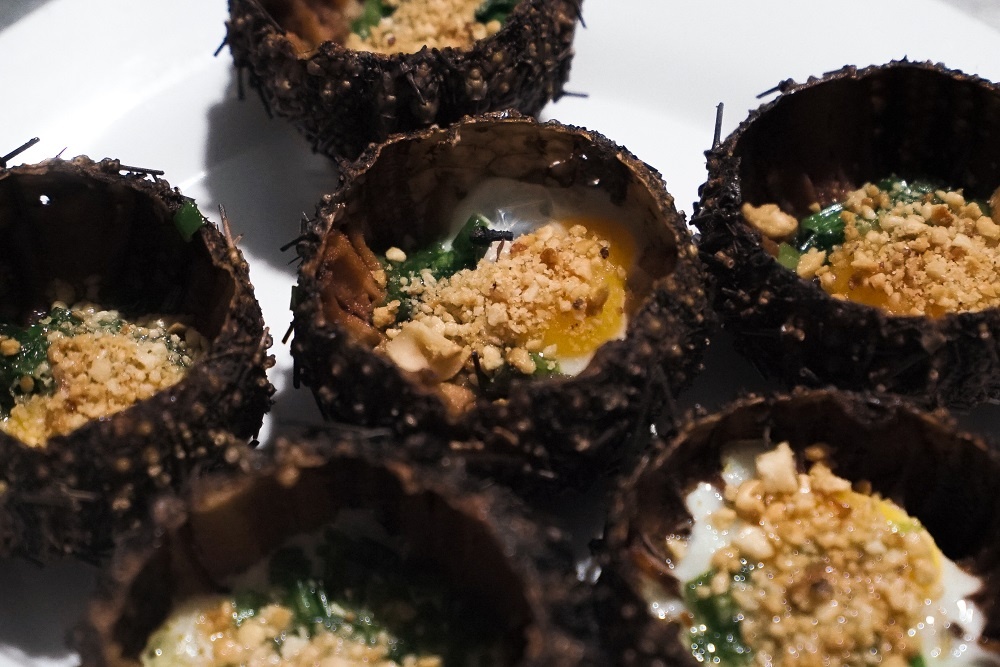 Du lich dao Binh Hung anh 8