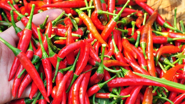 5 loai gia vi pho bien ngay Tet co the tro thanh thuoc chua benh hinh anh