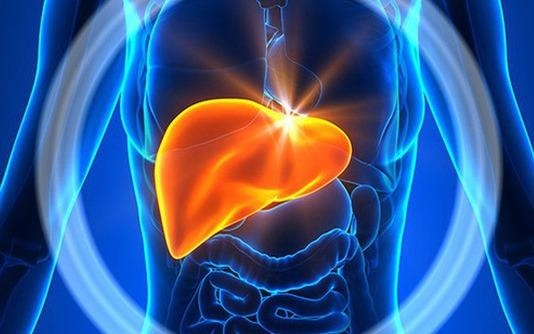 Sai lam khien la gan cua nguoi Viet bi pha huy ma khong biet hinh anh