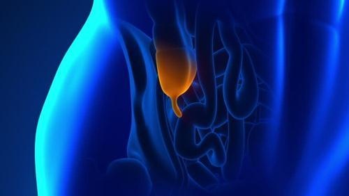 Dấu hiệu đau ruột thừa ảnh 7 Dau hieu dau ruot thua anh 7