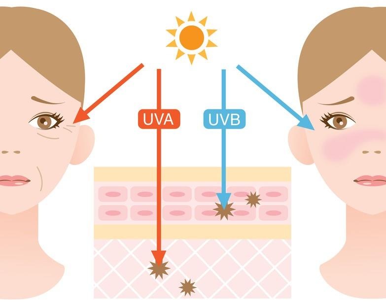 Tác hại nguy hiểm của tia cực tím ảnh 7 Tac hai nguy hiem cua tia cuc tim anh 7