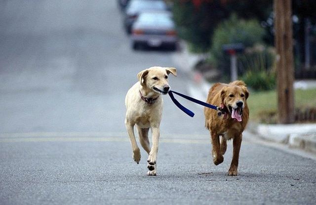 lam gi khi bi cho can anh 6