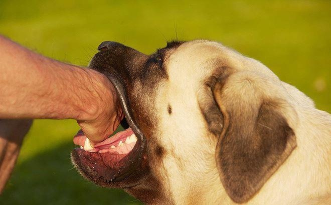 lam gi khi bi cho can anh 9