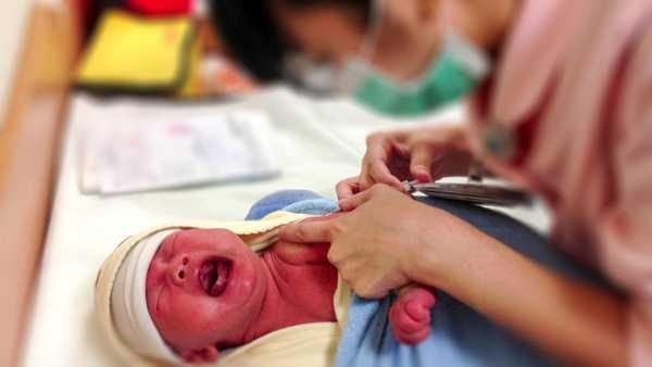 ăn salad con đẻ non ảnh 1 an salad con de non anh 1