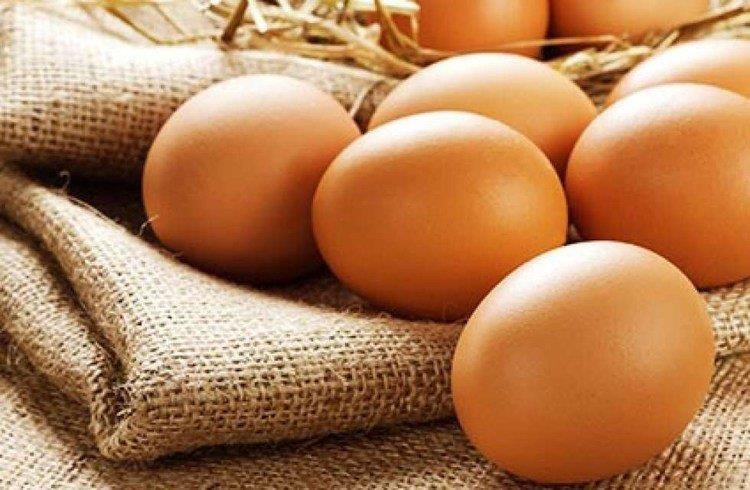 ăn trứng gà đúng cách ảnh 6 an trung ga dung cach anh 6