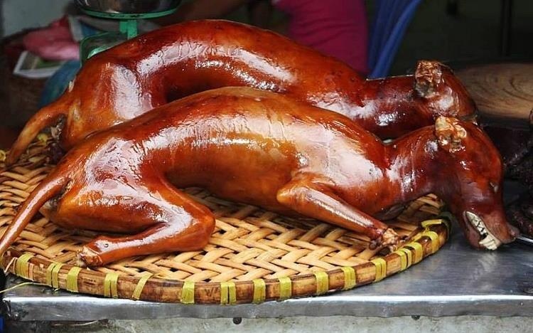 An thit cho bi danh ba, ban co nhiem doc? hinh anh